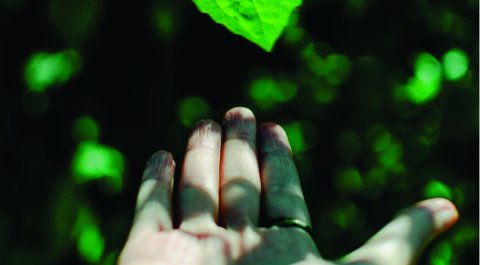 Mig-PLUS recebe Selo Verde pelas boas práticas ambientais