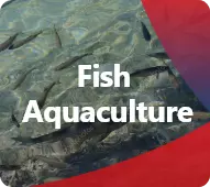 Discover our products for Fish
