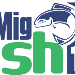 MIG FISH 1%