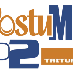 POSTUMIG P2 T